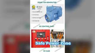 Przeciwwybuchowy generator diesla 00 kva Strefa ATEX