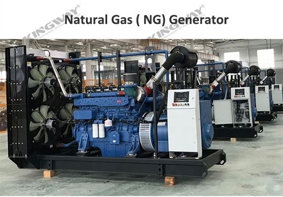 Zestaw generatorów pojemnik typu CE zatwierdzony Cichy generator gazu ziemnego zasilany gazem ziemnym
