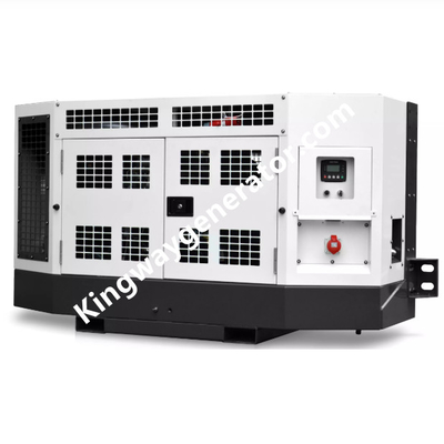 18KVA Clip On Generator agregatu prądotwórczego z silnikiem Diesla do kontenerów chłodniczych